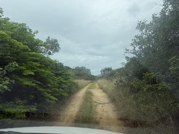 Door de duintjes